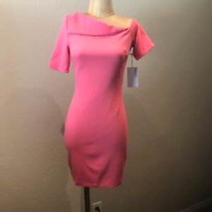 NWT Bailey/44 pink dress